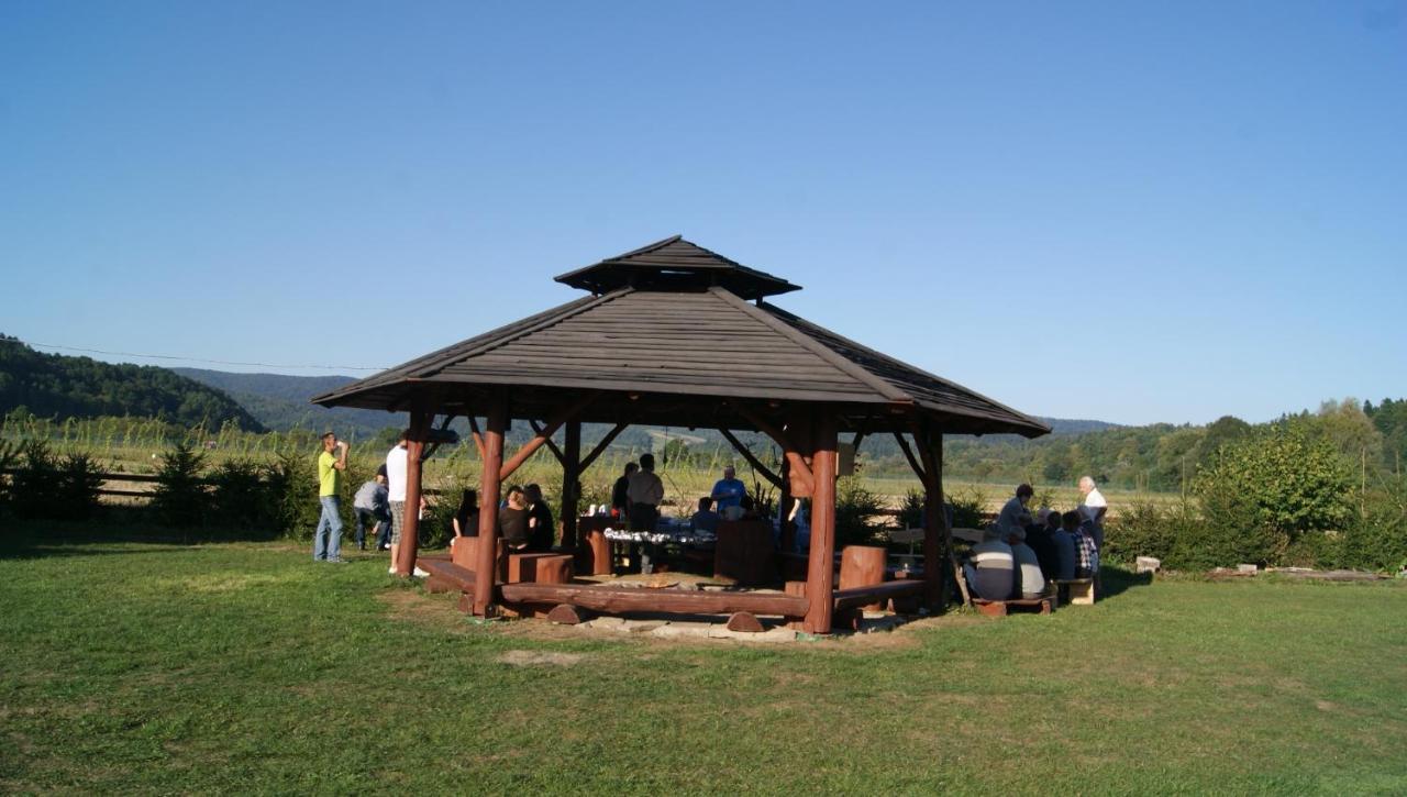 Domki Nad Sanem Lesko Bagian luar foto